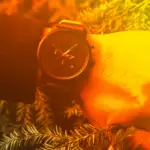 Who Makes Solar Powered Watches
